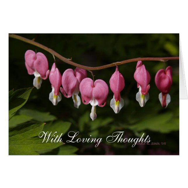 Med att älska tankar OBS kort (Framsidan Horizontal)