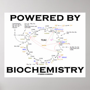 Med biokemi (kretslopp) poster