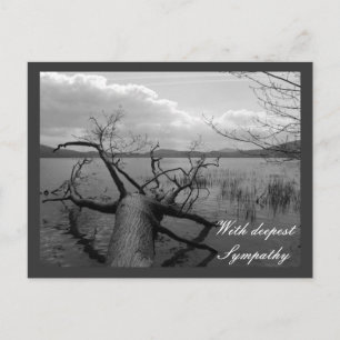 Med djup sympati vykort