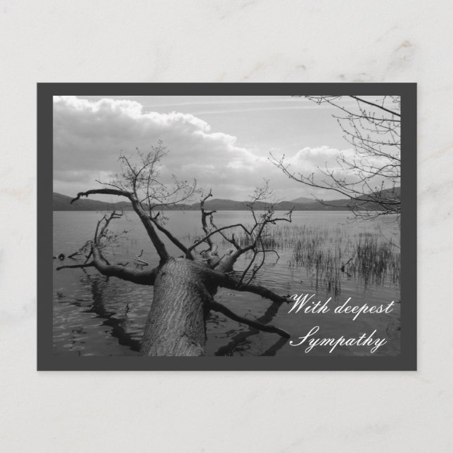 Med djup sympati vykort (Framsida)
