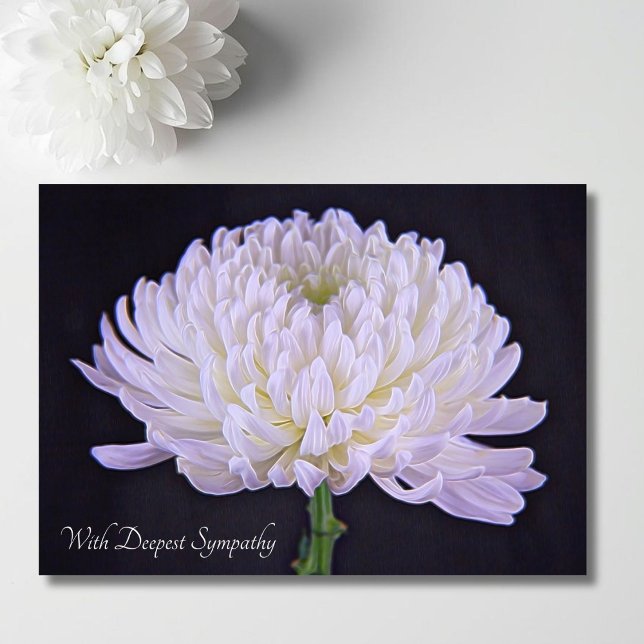 Med djup sympati White Chrysanthemum Kort (Skapare uppladdad)