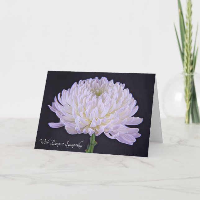 Med djup sympati White Chrysanthemum Kort (Framsida)