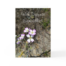 Med djupast sympatier