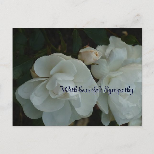 Med hjärtlig sympati - Beileidskarte Vykort (Framsida)