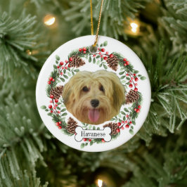 med hund Personlig Pet Ornament