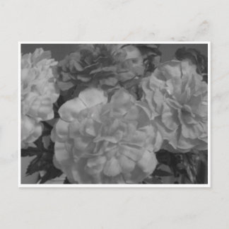 "Med kärlek från mig, till dig..." Vykort