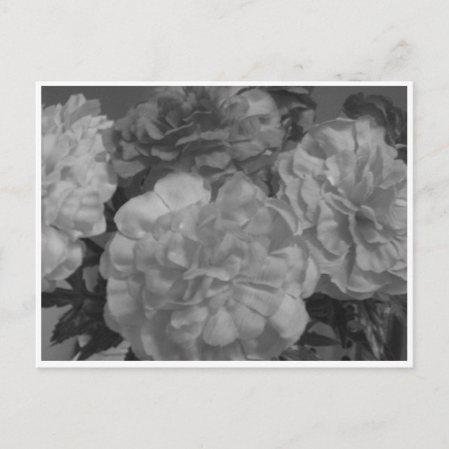 "Med kärlek från mig, till dig..." Vykort (Framsida)