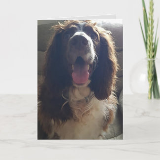 Med kärlek hälsning-kort kort