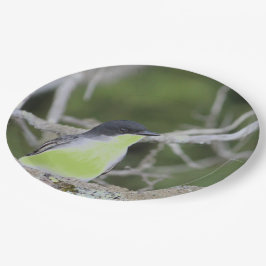 Med litet föda i Gröntar