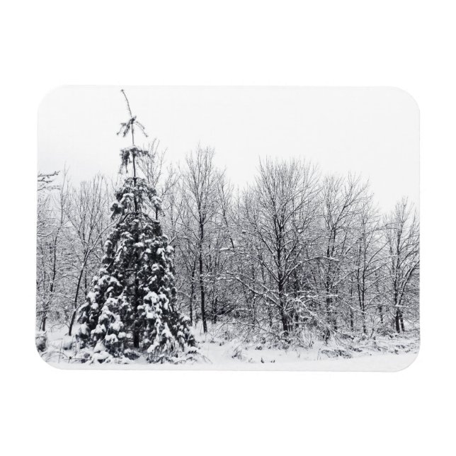 med säkerhet magnet (Horisontell)