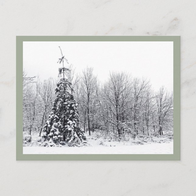 med säkerhet vykort (Framsida)