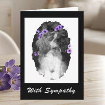 Med Sympathy Cavalier Kung Charles Card
