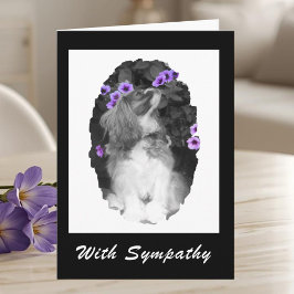 Med Sympathy Cavalier Kung Charles Card Kort