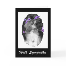Med Sympathy Cavalier Kung Charles Card
