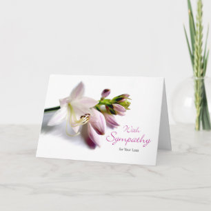 Med Sympathy Hosta Plant Blooms i Garden Kort