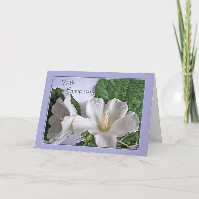 Med Sympathy White Hibiscus Ro i Sharon Kort (Framsida)
