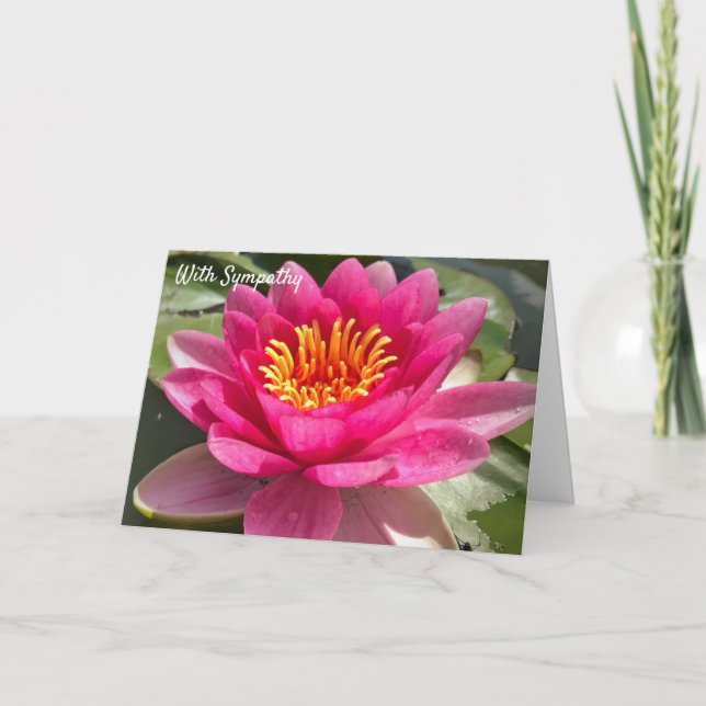 Med sympati - Blommigt Vatten Lily Helgkort (Framsida)