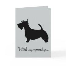 Med sympati: Din skotska terrier går förlorad