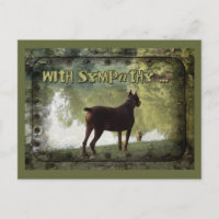 Med Sympati - Dobermann som blickar ut över en sjö