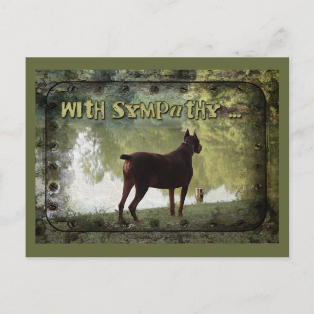 Med Sympati - Dobermann som blickar ut över en sjö Vykort (Framsida)