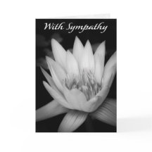 "Med Sympati" Water Lily C Viket gratulationskort