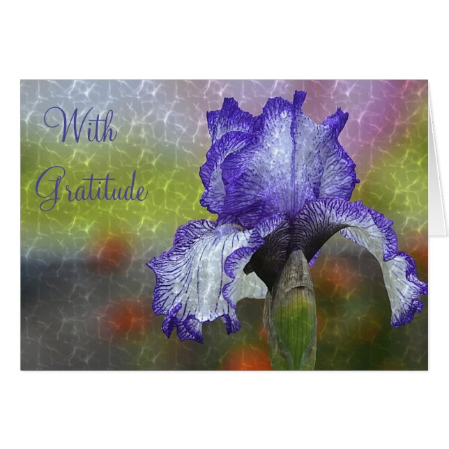 "Med tacksamhet"-Tack OBS Kort (Framsidan Horizontal)