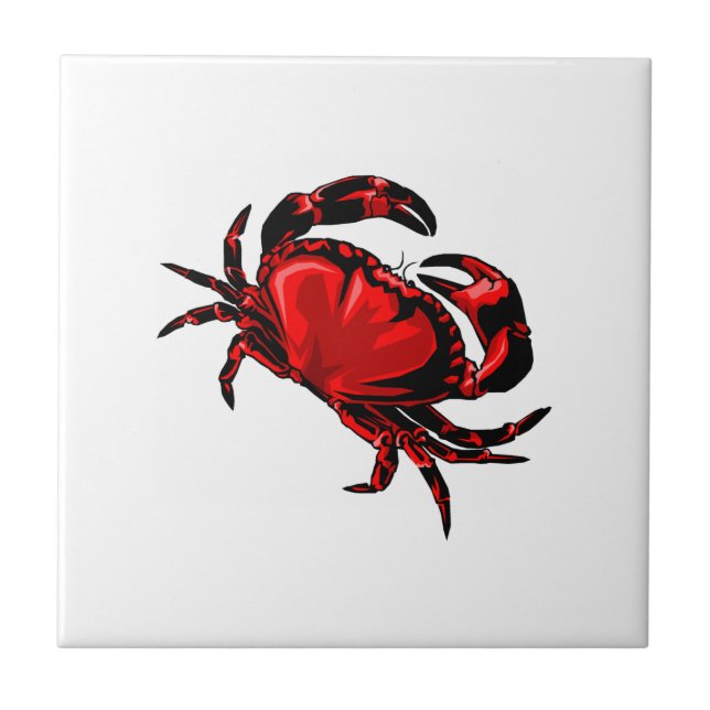 MED UNDERBARA KLOR KAKELPLATTA (Framsidan)