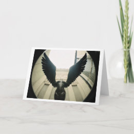 Med vingarsned boll öppna… kort