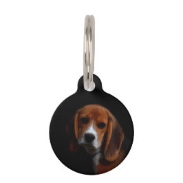 Médaillon pour chien  Beagle Djurbricka