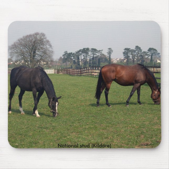 Medborgare dubbar musmatta (Framsidan)