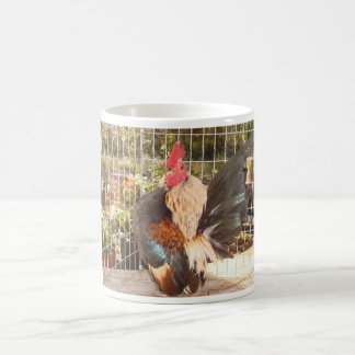 Medborgaremästare för Mug-2007 SCNA Kaffemugg