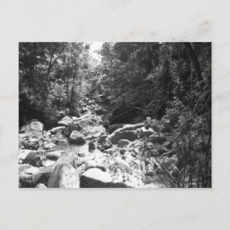 MedborgareRainforest för El Yunque Vykort