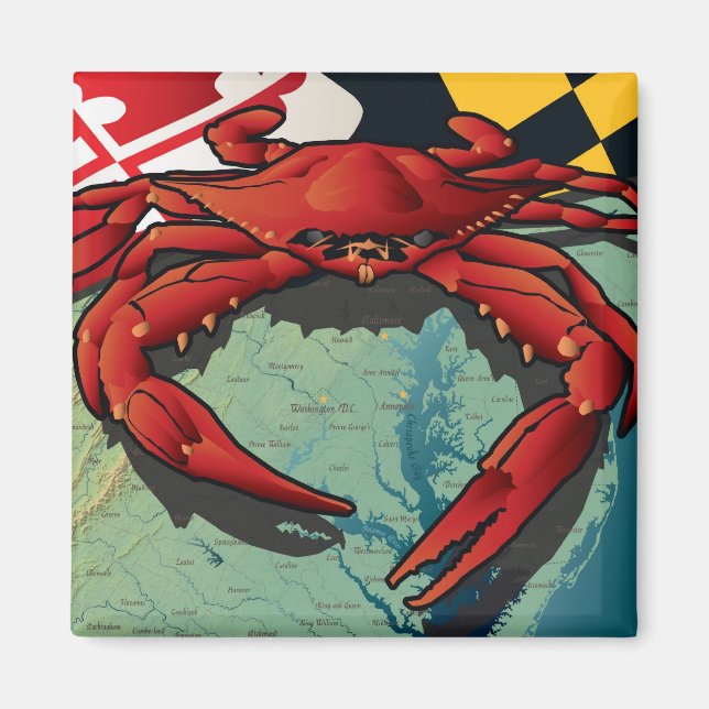 Medborgarkrabban i Maryland Magnet (Framsidan)
