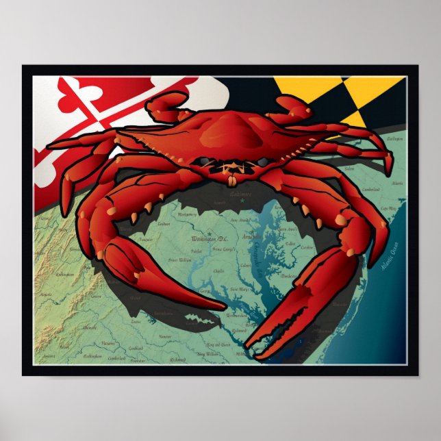 Medborgarkrabban i Maryland Poster (Framsidan)
