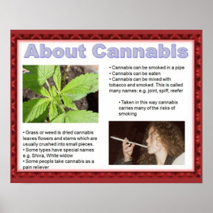 Medborgarskap, livskunskaper säger bara nej! poster