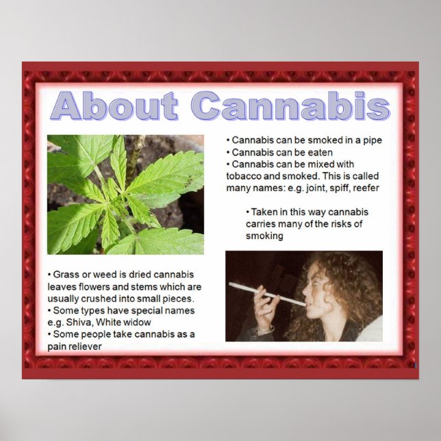 Medborgarskap, livskunskaper säger bara nej! poster (Framsidan)