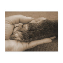 Meddelande av den nya familjemedlemmen