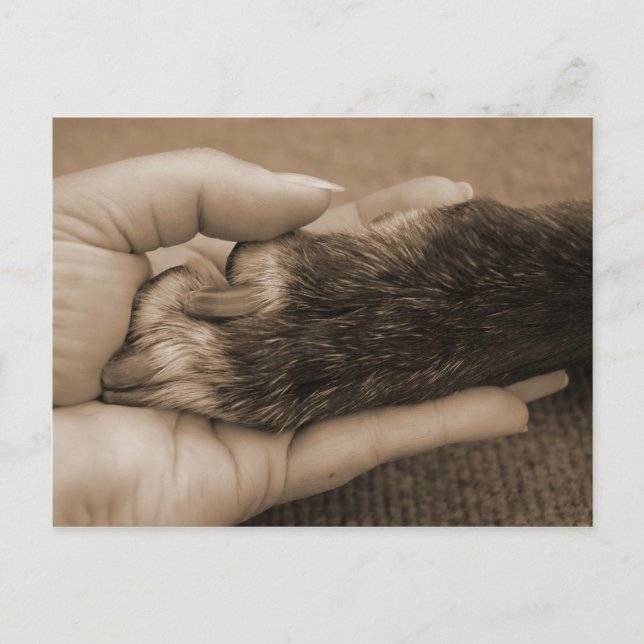 Meddelande av den nya familjemedlemmen (Framsida)