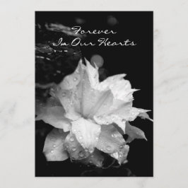 Meddelande för daggdroppar för Clematis 2a Inbjudningar