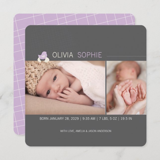 Meddelande från Hatched Egg Chick Girl Photo Baby (Fram/baksida)