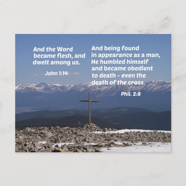 Meddelande från vaggan till kor (Framsida)