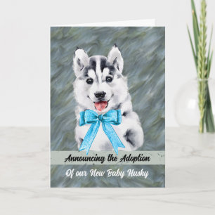 Meddelande om antagande av Baby Husky Hund
