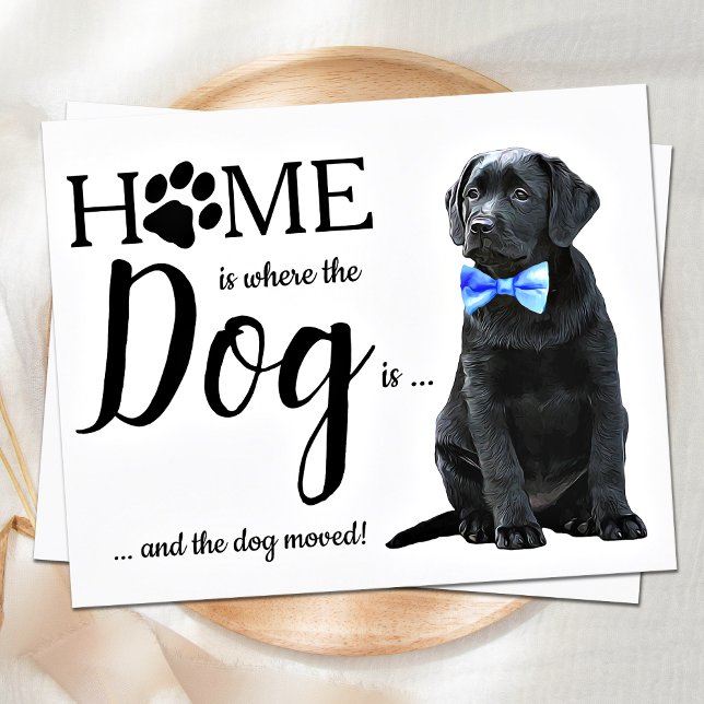 Meddelande om Flytta av budgeterad Vi har flyttat  (Skapare uppladdad)