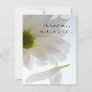 Meddelande om Förlovning för vit Daisy Petals Inbjudningar