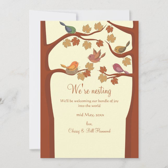 Meddelande om Gravid av fångst av fåglar (Framsida)