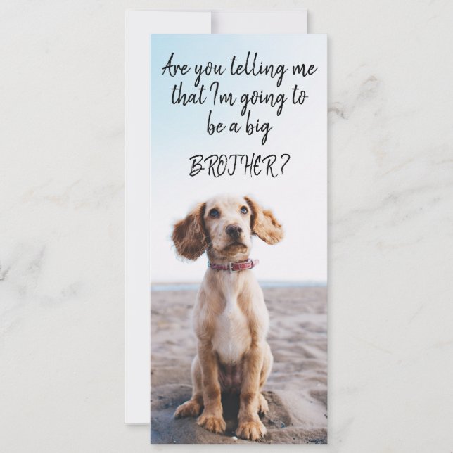 Meddelande om Gravid av storebror/syster-sällskaps (Framsida)