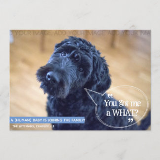 Meddelande om Graviden för Funny Pet (Human Baby) Inbjudningar