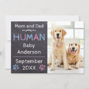 Meddelande om hund Gravid