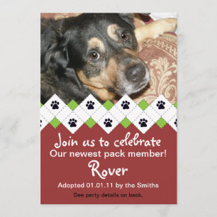 Meddelande om Hund/marionettadoption Party Inbjudningar