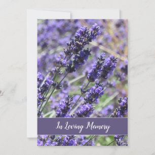 Meddelande om Lavender Flowers Memorial Service Inbjudningar